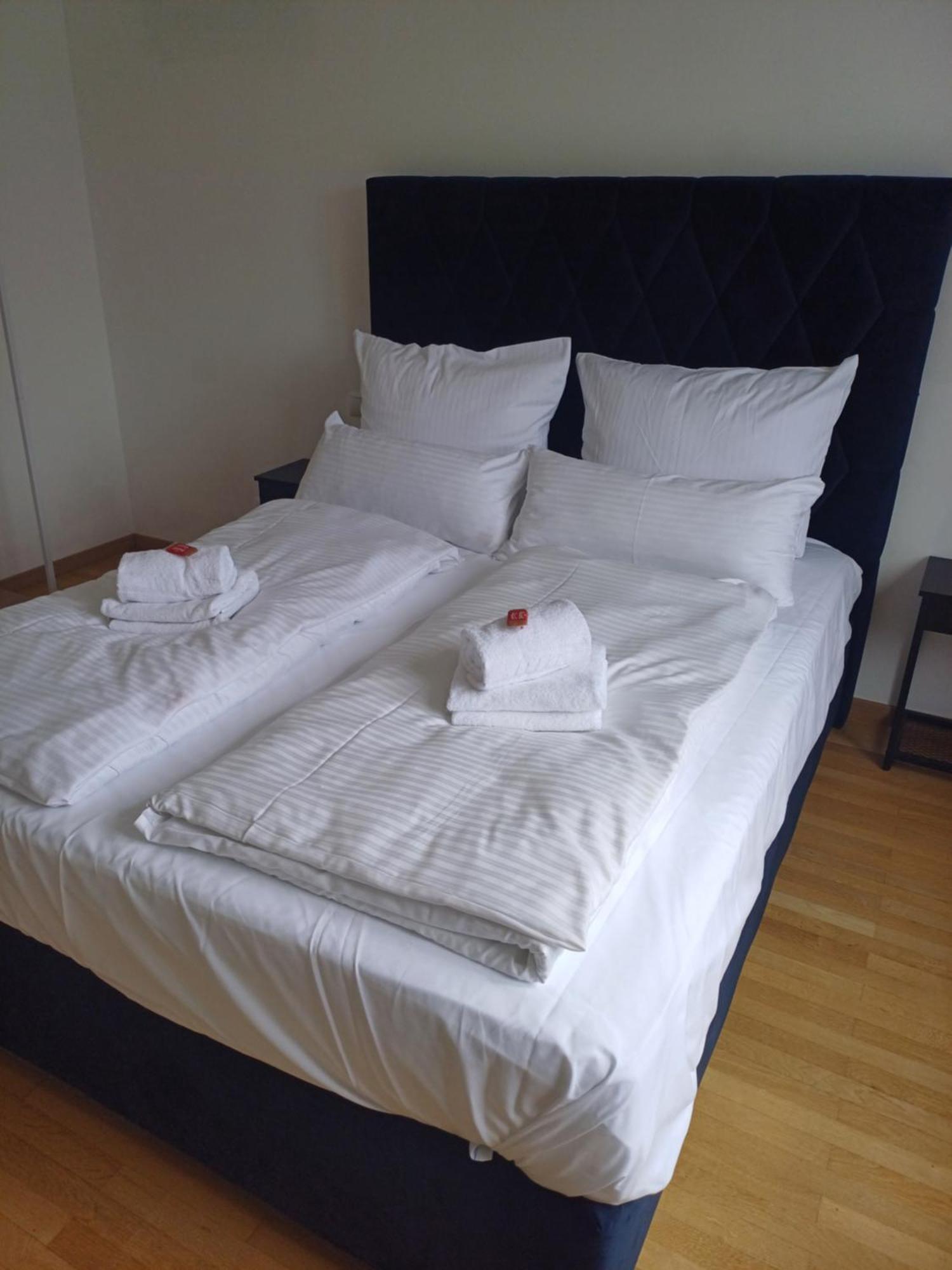 Crown Living Design Apartment - 2 Schlafzimmer - Kueche - Gratis Parkplatz - Abstellraum Fuer Fahrraeder/Ski Mader المظهر الخارجي الصورة